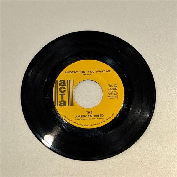 The American Breed Anyway That You Want Me 45 Album