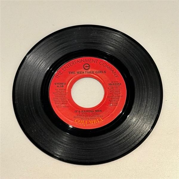 The Weather Girls It's Raining Men 45 Album