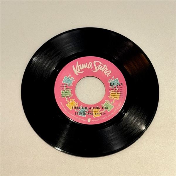 Brewer and Shipley Seems Like A Long Time 45 Album