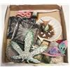 Image 1 : FAIRY SEASHELL FROG BATH & MORE