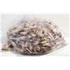 Image 1 : BAG APROX 1000 COIN ROLLERS - TOONIE