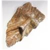 Image 1 : SPECIMEN STONE CARVED FACE INDEGENOUS