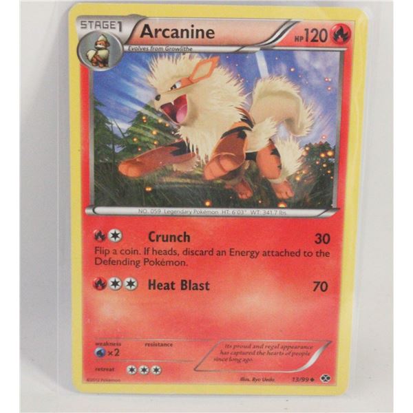 ARCANINE BLACK&WHITE 13