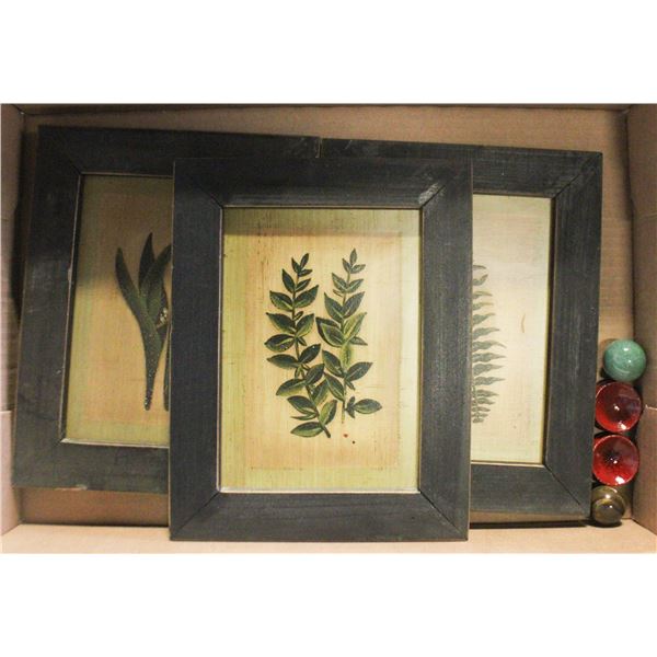 3 FRAMED PLANT LIFE THEMED WALL