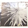 Image 1 : 3PC CANVAS PICTURE EACH PIECE 14"X40"