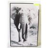 Image 1 : ELEPHANT PICTURE