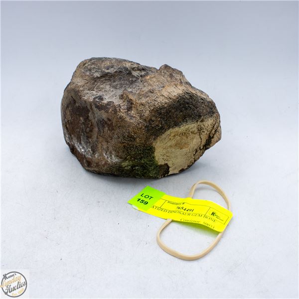AGATIZED/PETRIFIED DINOSAUR BONE SPECIMEN