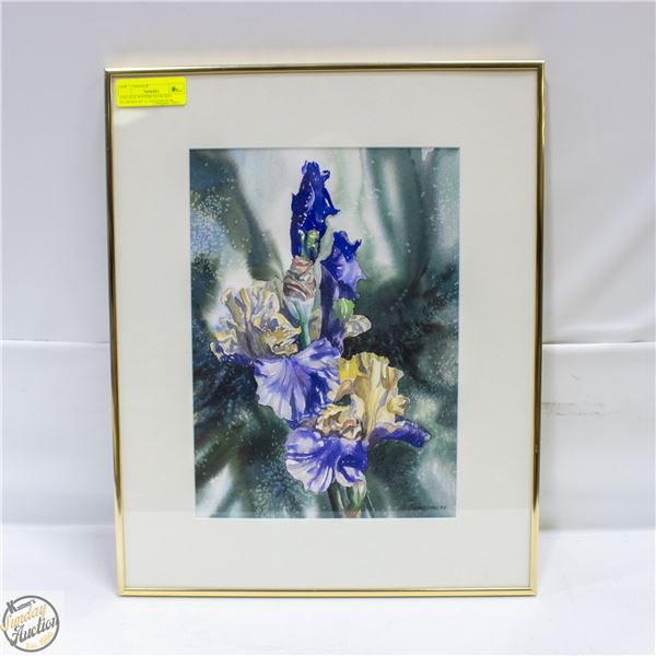 VINTAGE WATERCOLOR IRES FLOWERS BY Q. SWAINSON 94