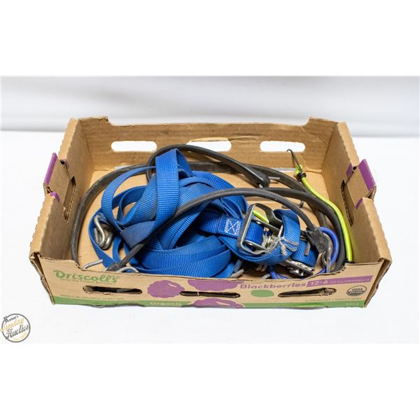 BOX OF TIE-DOWNS + RATCHET STRAP