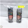 Image 1 : 2PK GREY SPRAY PAINT