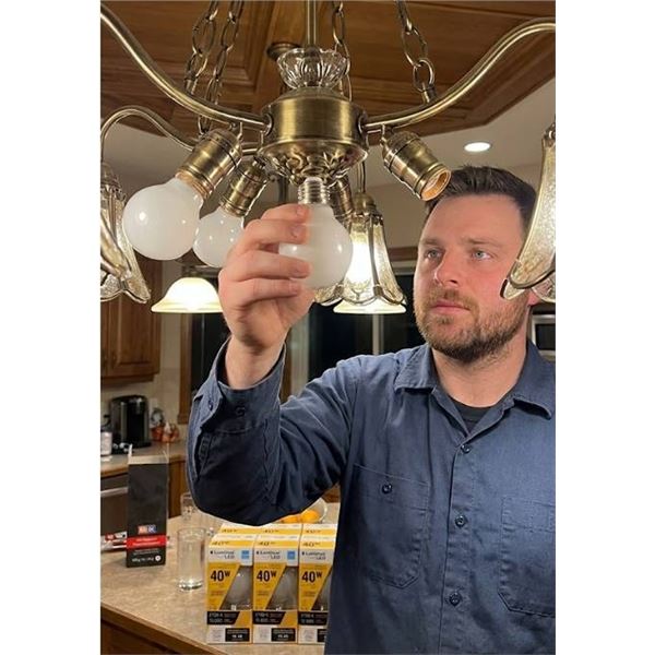 Luminus LED G16 E26 4W 2700K Bulbs, Case of 6