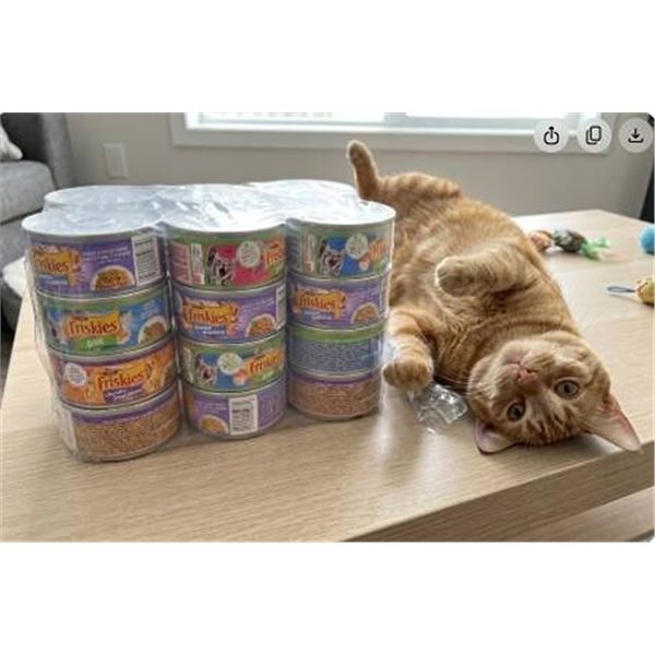 12x156g Assorted -Friskies Cat Food Cans