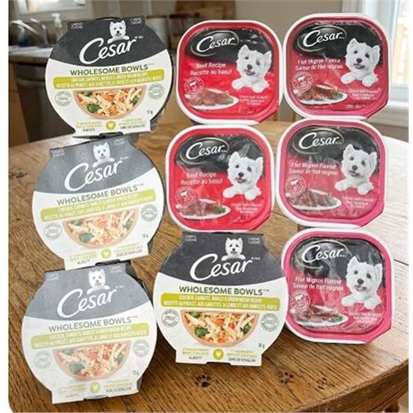 Cesar Wet Dog Food Assorted Pack, 9ct