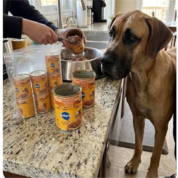 Pedigree Chopped Ground Dinner Dog Food 12x