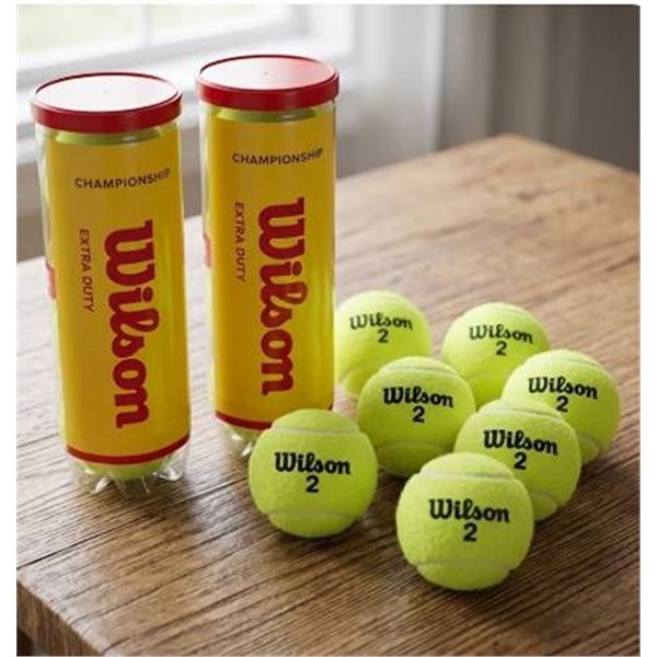 Wilson Championship Extra Duty Tennis Balls (