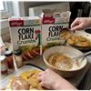 Image 1 : Kellogg's Corn Flake Crumbs 575g, 2 Boxes