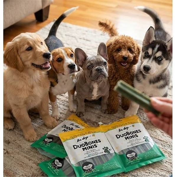 TenDogs DuoBones Minis Dog Chews 24x100g