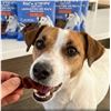 Image 1 : TenDogs Bacon Strips for Dogs 12 x 100g