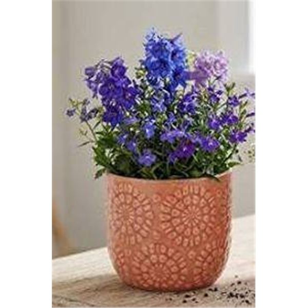 Stone & Beam Floral Embossed Planter, Small