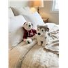Image 1 : Stuffed Canada Bear and Husky Plush Toys