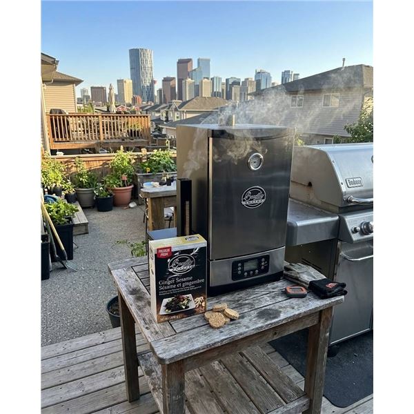 Bradley Smoker Ginger Sesame Bisquettes 396g