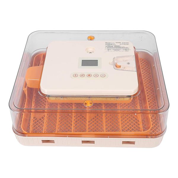 OneEgg 56H Egg Incubator for Birds