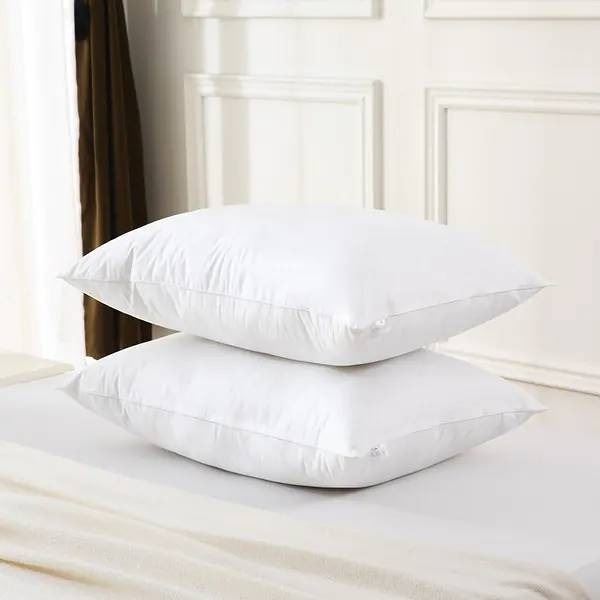 2 Queen Size Polyester Pillows