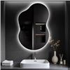 Image 1 : WallBeyond 36"x24" Irregular LED Mirror