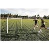 Image 1 : SKLZ Quickster Soccer Goal 8x5 ft