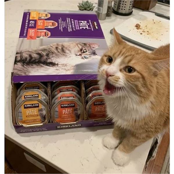 Kirkland Cat Food PÃ¢tÃ© Variety Pack, 45 x 99.