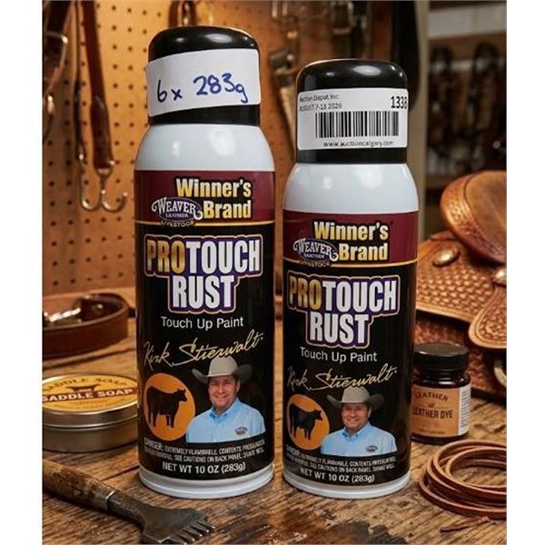 Winnerâ€™s Brand ProTouch Rust Touch Up Paint 6x283g
