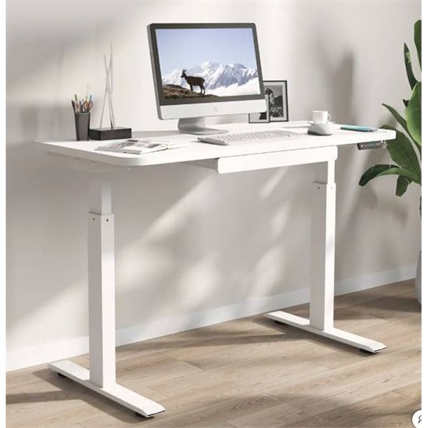 Motionwise 121.9 cm x 61 cm (48 in. x 24 in.) Height Adjustable Desk