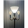 Image 2 : Stand Up Lamp