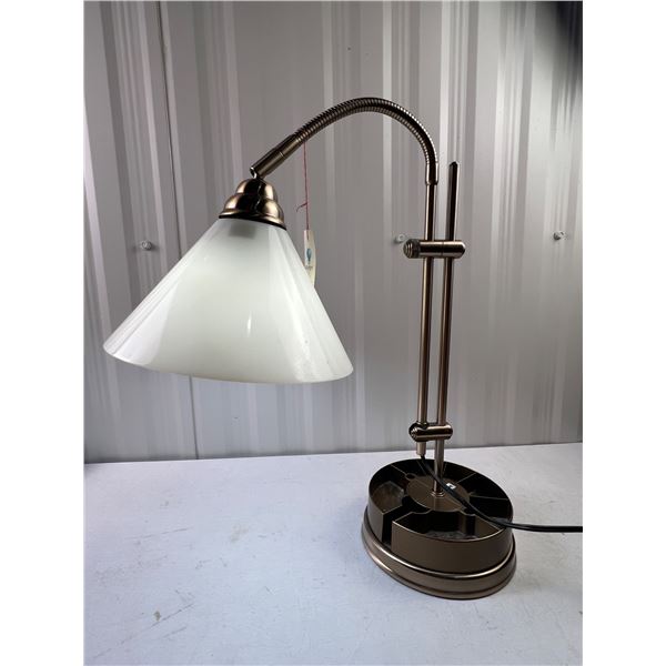 Daylight Adjustable Desk Lamp