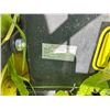 Image 7 : Champion 20 Ton Log Splitter