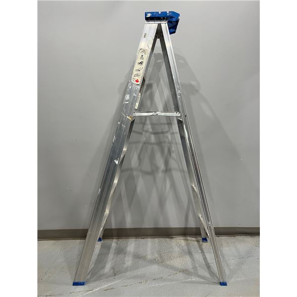 Reynolds 6' Step Ladder