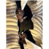 Image 6 : Cuckoo Clock