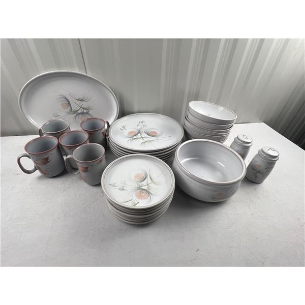 Denby Dinner Set