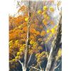 Image 2 : Mountain Scene Wall Art