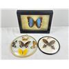 Image 1 : Butterfly Wall Art