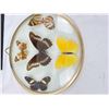 Image 3 : Butterfly Wall Art