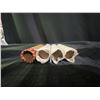 Image 3 : 200 Assorted Canadian Pennies, 4 Rolls, Various Years