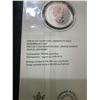 Image 5 : 2020 Canada Remembrance Day $5 Fine Silver Coin – Moments to Hold