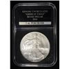 Image 1 : 2010 AMERICAN SILVER EAGLE PCS