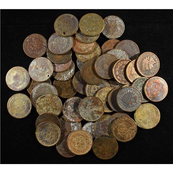 (50) INDIAN HEAD CENTS
