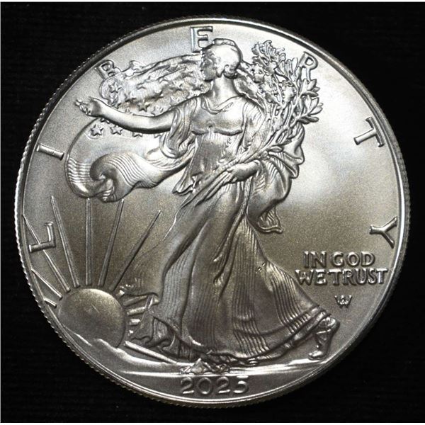 2025 AMERICAN SILVER EAGLE
