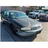 Image 2 : CHEV LUMINA 1995 APP  DUP/T-DON