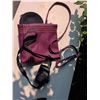 Image 3 : Canon PowerShot SX40 HS Camera with Accessories and Purple Shoulder Bag