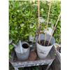 Image 3 : Galvanized Metal Washstand With Watering Can, Pail, and Rustic Shovel