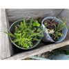 Image 2 : Wooden Wheelbarrow Planter With Metal Owl Garden Decor